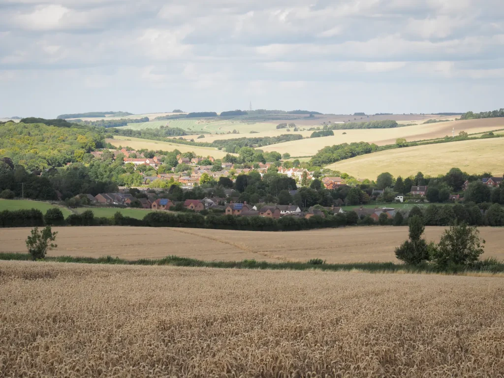 A ripening wheat field with views across the downs to Lambourn in Berkshire